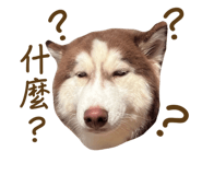 844454261