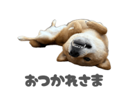 844455694