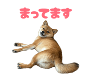 844455695