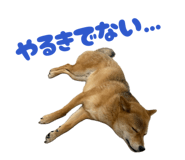 844455696