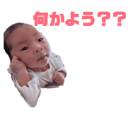 844456058