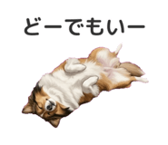 844456162