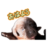 844456279