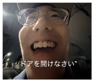 844456456