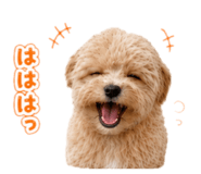 844456895