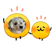 844457448
