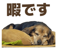 844457547