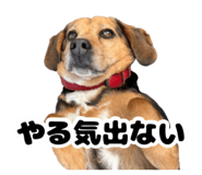 844457565
