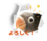 844457713