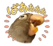 844457727