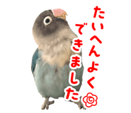 844457743