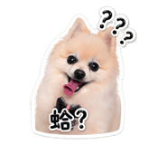 844458888