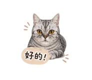 844459878