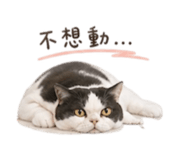 844459899