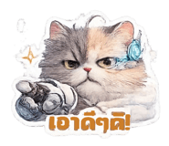 844461114