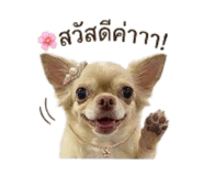 844461513