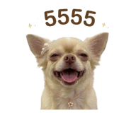 844461527