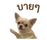 844461528