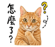 844462037
