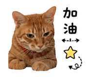 844462047