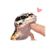 844462260