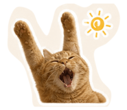 844462520