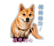 844462776