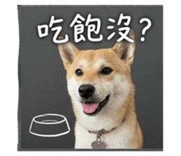 844462828