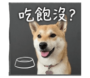 844462828
