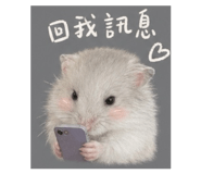 844463382