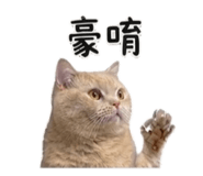 844463721
