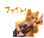 844463977