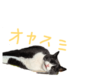 844463980