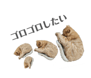844463983