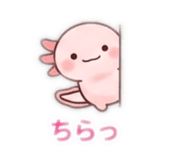844464166