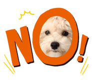 844464291