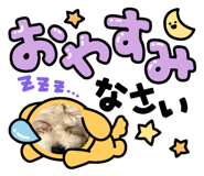 844464296