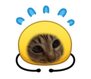844464311