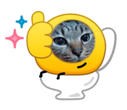 844464314