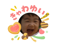 844464425