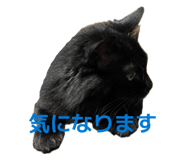 844465430