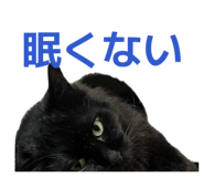 844465431