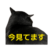 844465435