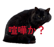 844465439