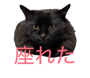844465441