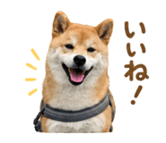 844466146