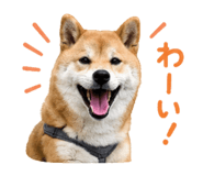844466147