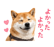 844466149