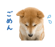 844466156