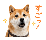 844466157